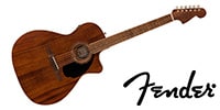 FENDER / Newporter Special Pau Ferro FB Black Pickguard Natural