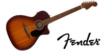 FENDER / Newporter Special Pau Ferro FB Black Pickguard Honey Burst