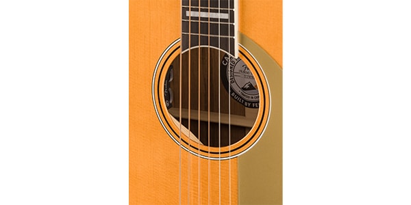 FENDER / Palomino Vintage Ovangkol FB Gold Pickguard Aged Natural画像6