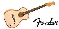 FENDER / Highway Series Parlor Rosewood FB Natural