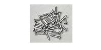 FENDER PICKGUARD - CONTROL PLATE MOUNTING SCREWS CH (24)