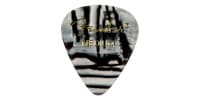 FENDER 351 Shape Graphic Picks Zebra Medium