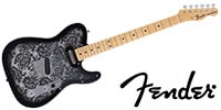 FENDER / Made in Japan Limited Telecaster Black Paisley