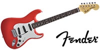 FENDER / MIJ LTD International Color Stratocaster Rosewood MRD/2