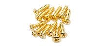 FERNANDES Pickguard Screws GOLD(12)