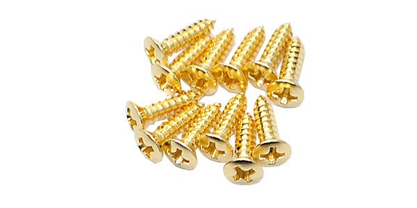 FERNANDES/Pickguard Screws GOLD(12)