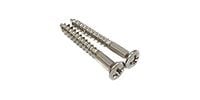 FERNANDES END PIN SCREW F TYPE NICKEL