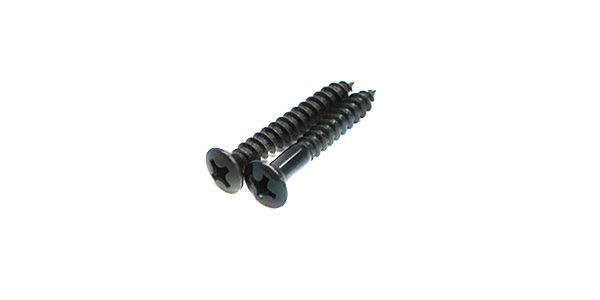 FERNANDES/END PIN SCREW G TYPE BLACK