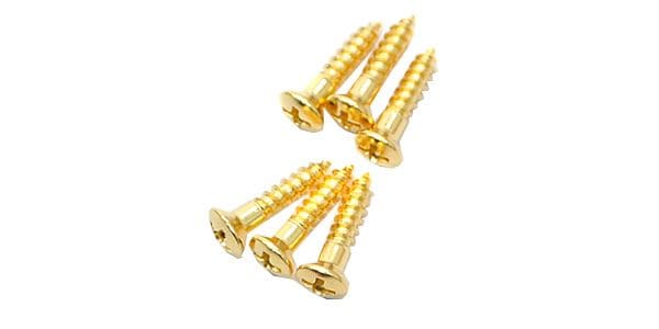 FERNANDES/G type Pickguard Screws 6pcs GL