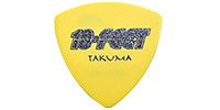 FERNANDES P-100 10-FEET TAKUMA YL