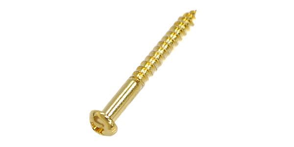 FERNANDES ( フェルナンデス )  / RST TREMOLO MOUNT SCREW GOLD 画像2