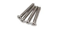 FERNANDES Escastion Screw Nickel Long