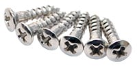 FERNANDES G type Pickguard Screws 6pcs NI