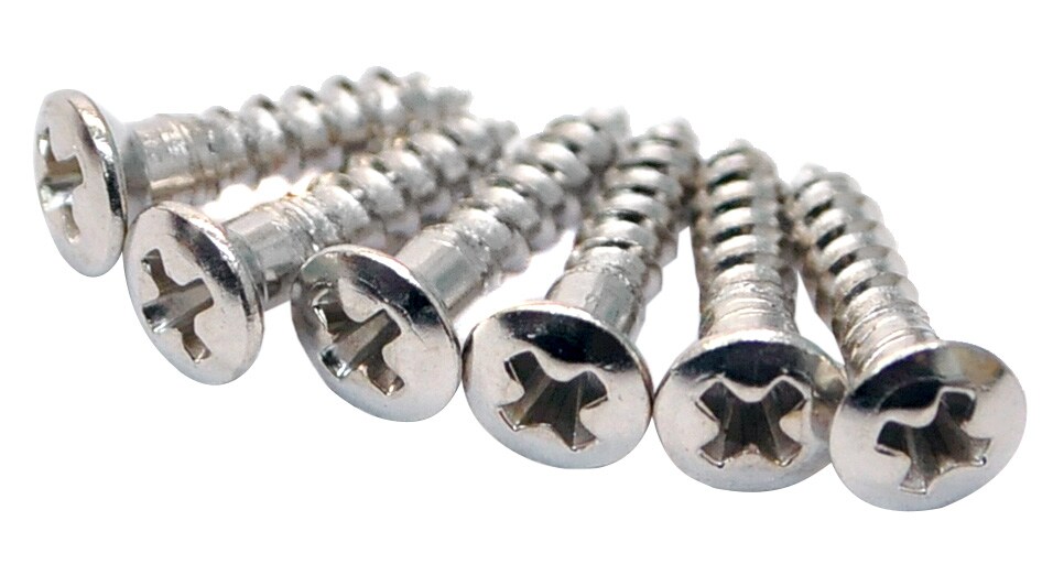 FERNANDES/G type Pickguard Screws 6pcs NI