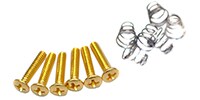 FERNANDES Screws for Single Coil inch w/SP GD(6)