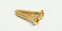 FERNANDES END PIN SCREW G TYPE GOLD(5593062)