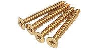 FERNANDES Escastion Screw Gold Long