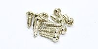 FERNANDES TUNINGGEAR SCREW NICKEL