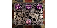 Flattley Guitar Pedals / Centurion 10 AE(Anniversary Edt)