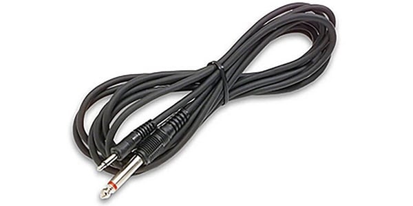 FISHMAN ( フィッシュマン )  / Cable 10’ with 1/4” to 1/8” plug