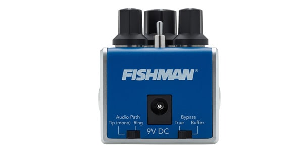 FISHMAN ( フィッシュマン )  / AFX BLUECHORUS MINI画像2