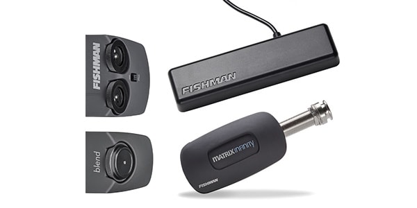 FISHMAN ( フィッシュマン )  / PRO-MAL-PT1