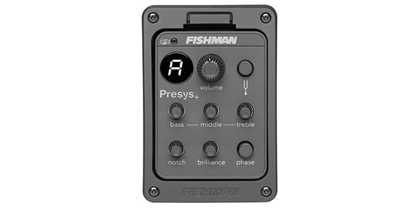 FISHMAN / PRO-PSY-201