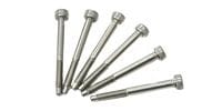 FLOYDROSE STRING LOCK SCREW STAINLESS