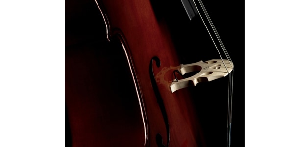 FISHMAN ( フィッシュマン )  / C-200 Concert Series Cello Pickup画像2