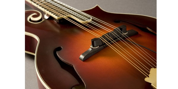 FISHMAN / M-300 Nashville Series Archtop Mandolin Pickup画像2