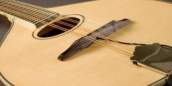 FISHMAN / M-400 Nashville Series Flat Top Mandolin Pickup画像2