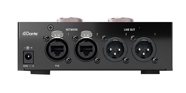 FOCUSRITE / RedNet AM2 画像2