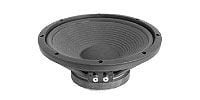 FOSTEX FW305