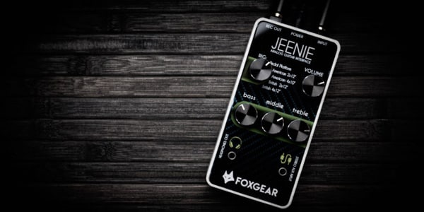 FOXGEAR / JEENIE (Amp + Cab Simulator, guitar interface)画像3