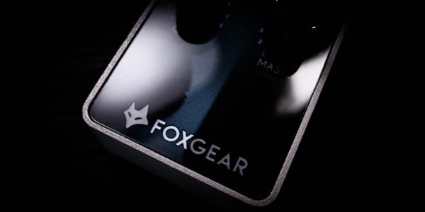 FOXGEAR / TWEED 55 (MiniAmp 55W rms American tone)画像4