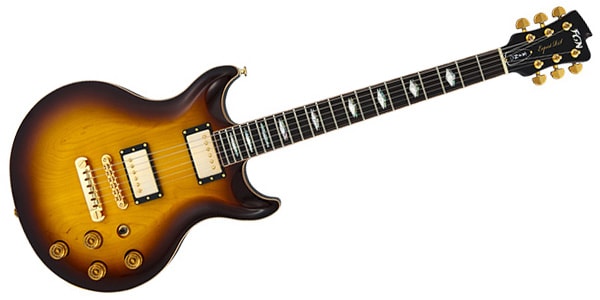 FUJIGEN ERS-HM-R