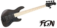 FUJIGEN J-Standard JMJ52-ASH-DE-M Transparent Black Flat