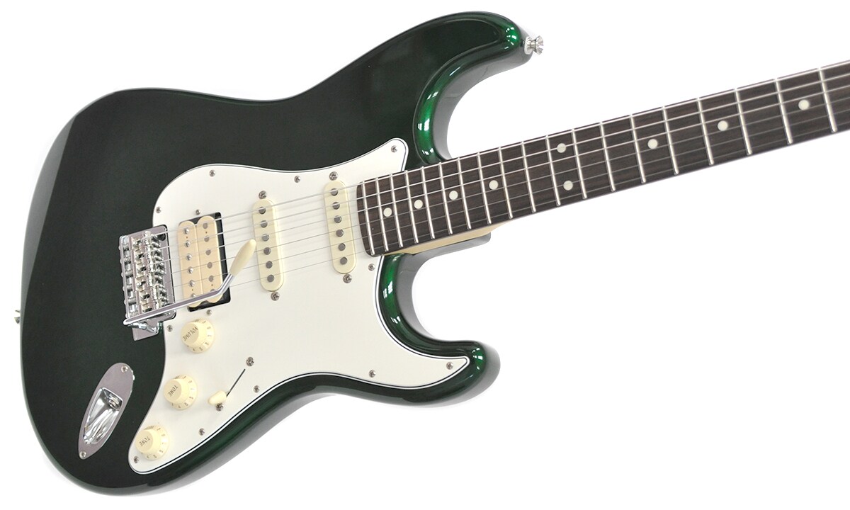 Fujigen フジゲン NST11 RAL-CAG セミハードケース付き!-