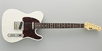FUJIGEN NTE100RAH-WB/01