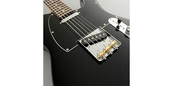 FUJIGEN NTE100RAL-BK/01 送料無料 | Sound House