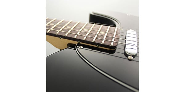FUJIGEN ( フジゲン )  / NTE100RAL-BK/01画像4