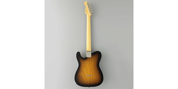 FUJIGEN ( フジゲン )  / NTE210RAH-2TS/01画像6