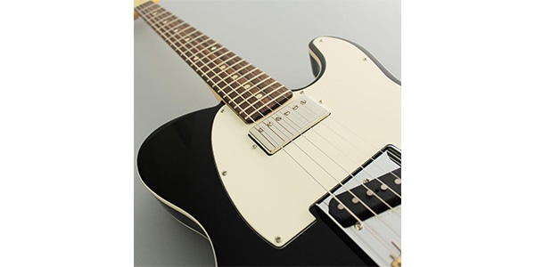 FUJIGEN ( フジゲン )  / NTE210RAH-BK/01画像3