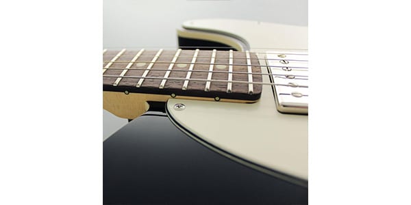 FUJIGEN ( フジゲン )  / NTE210RAH-BK/01画像4