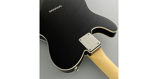 FUJIGEN ( フジゲン )  / NTE210RAH-BK/01画像7