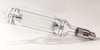 FUJILAMP / FLD-N-5WC Fishman-Quartz