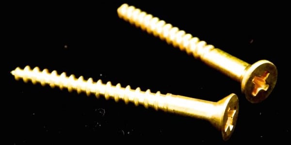 /Claw Springs Brass Screws (2)