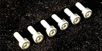 FU-Tone / Stainless Saddle Mounting Screw (1)