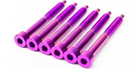  Titanium String Lock Screw Set (6) PURPLE