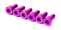  Titanium Saddle Mounting Screw Set  PURPLE